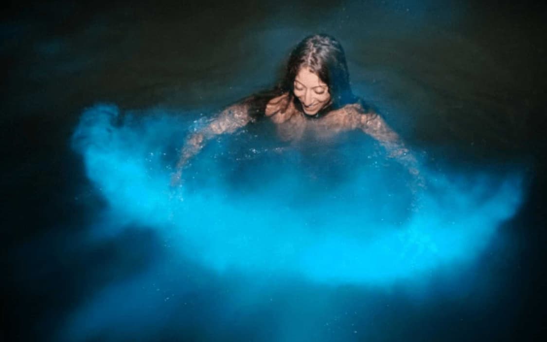 Luminous Lagoon bioluminescent water experience